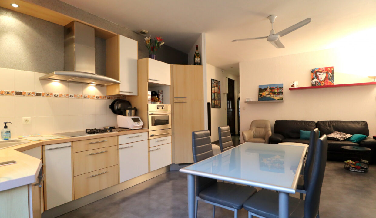 immobilier-grenoble-1