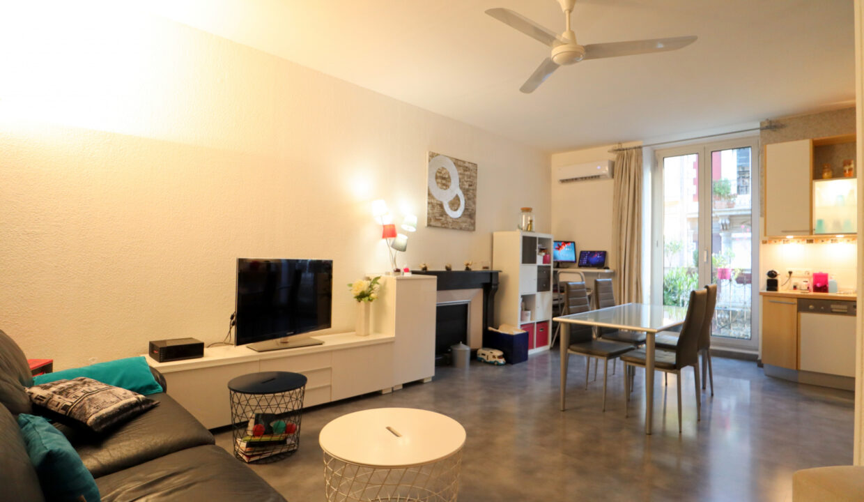 immobilier-grenoble-2