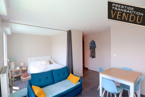 immobilier-grenoble