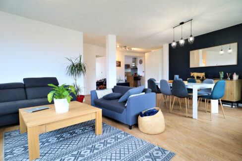 immobilier-grenoble