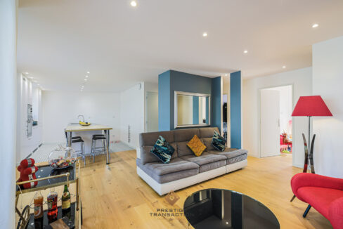 immobilier-grenoble