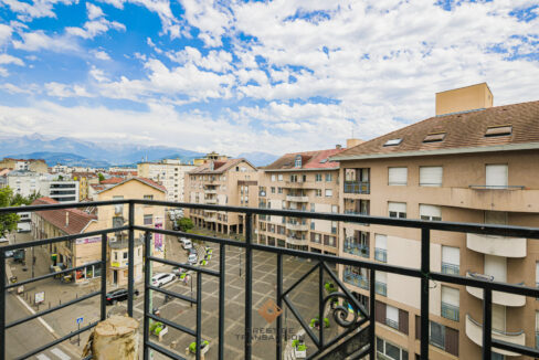 immobilier-grenoble-6