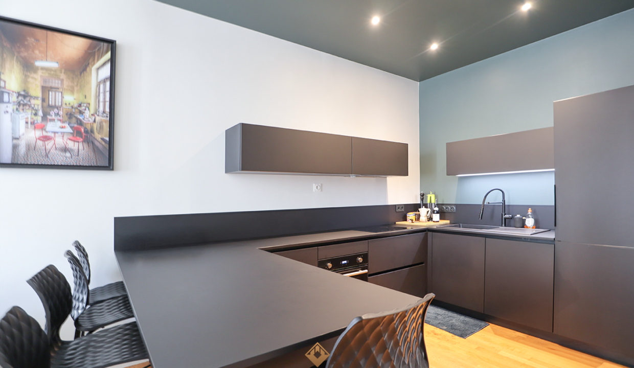 immobilier-grenoble.jpg-2