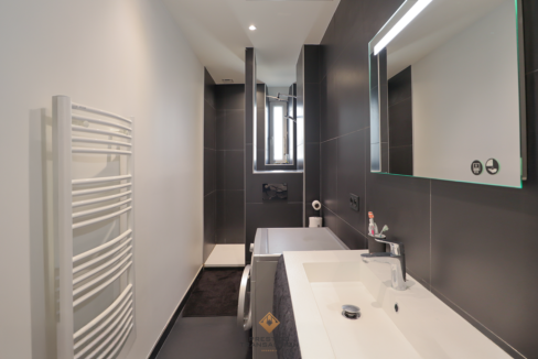 immobilier-grenoble.jpg-8