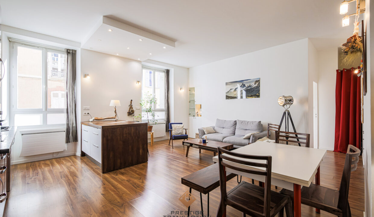 immobilier-grenoble-1