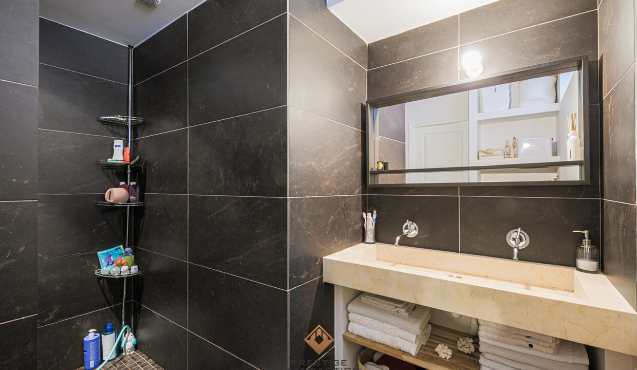 immobilier-grenoble-10