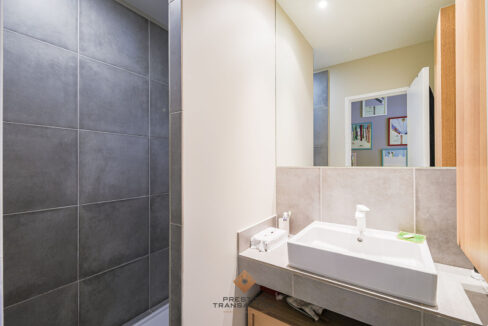 immobilier-grenoble-11