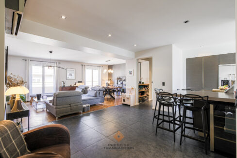 immobilier-grenoble-12