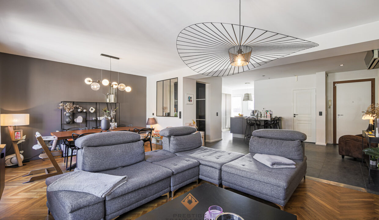 immobilier-grenoble