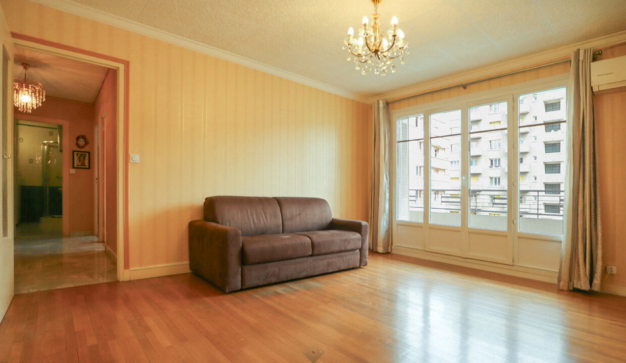 immobilier-grenoble-2