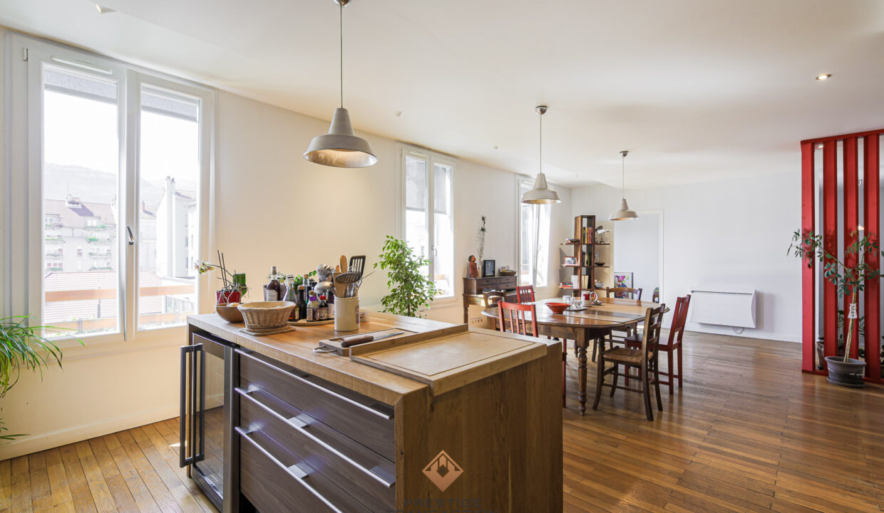 immobilier-grenoble-4