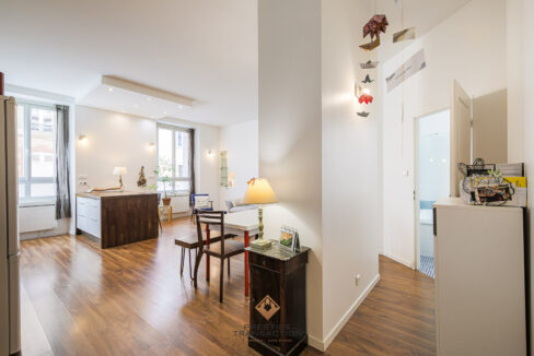 immobilier-grenoble