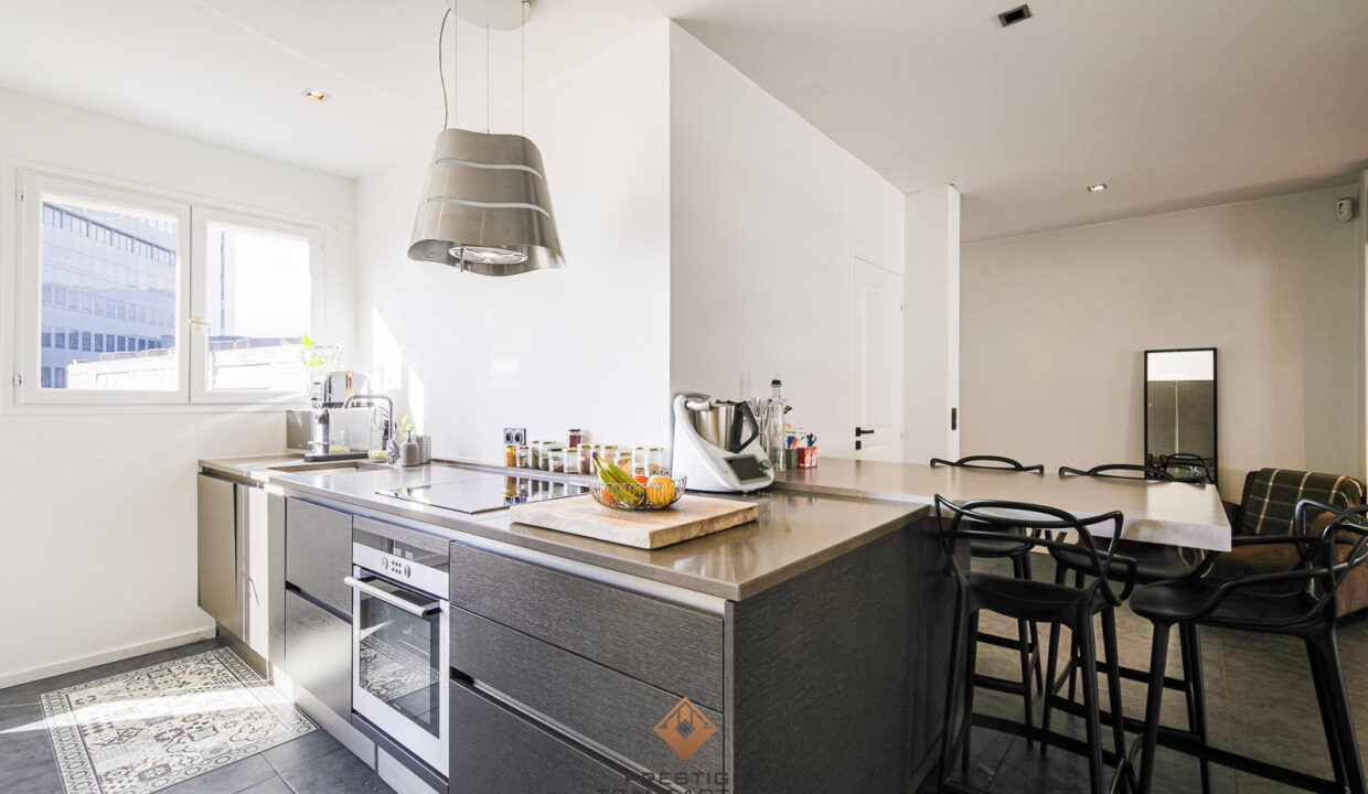 immobilier-grenoble-5