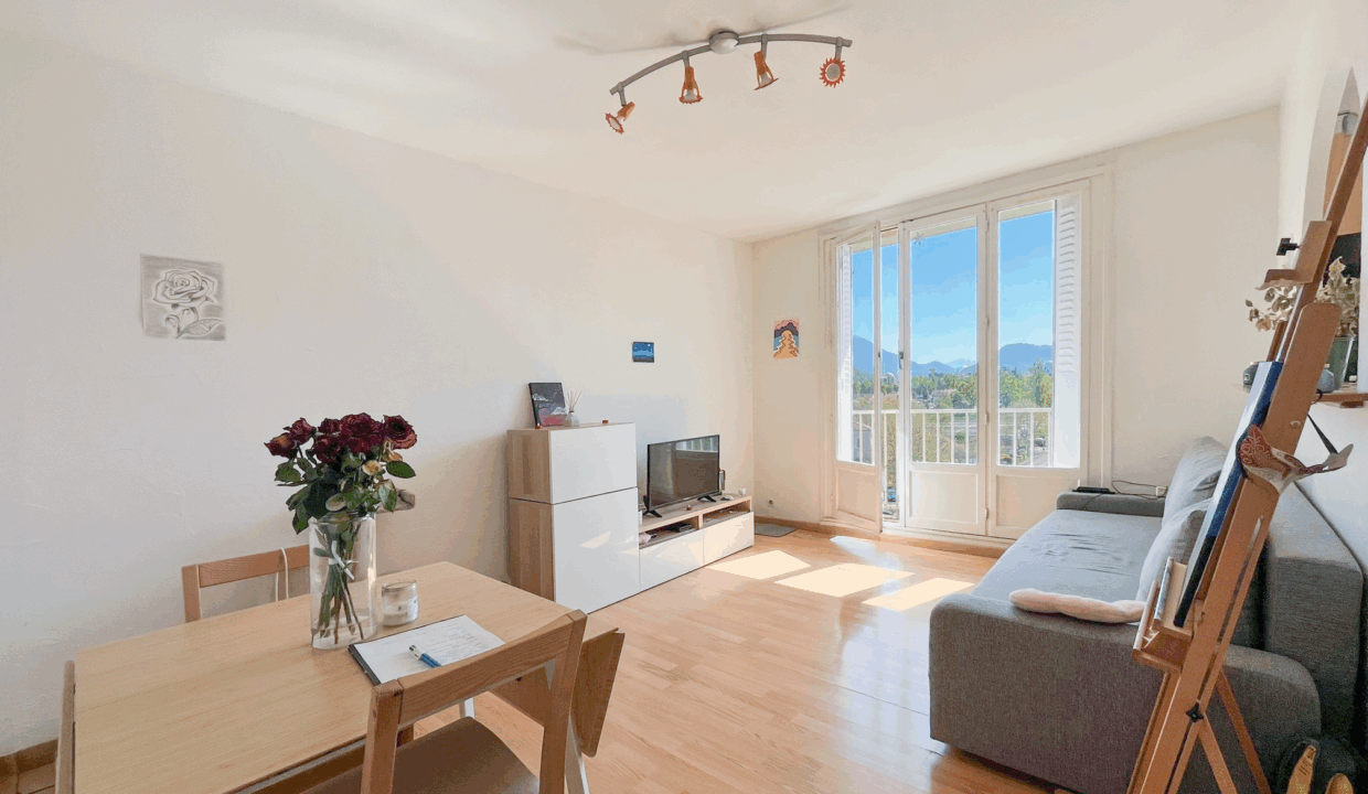 immobilier-grenoble.jpg-1