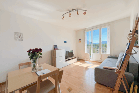 immobilier-grenoble.jpg-1