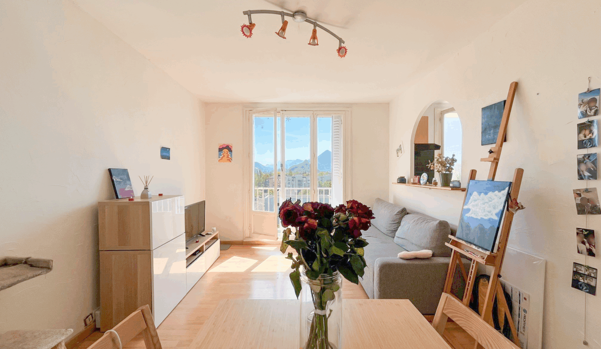immobilier-grenoble.jpg