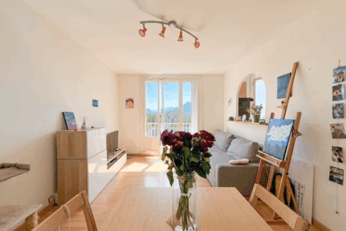 immobilier-grenoble.jpg