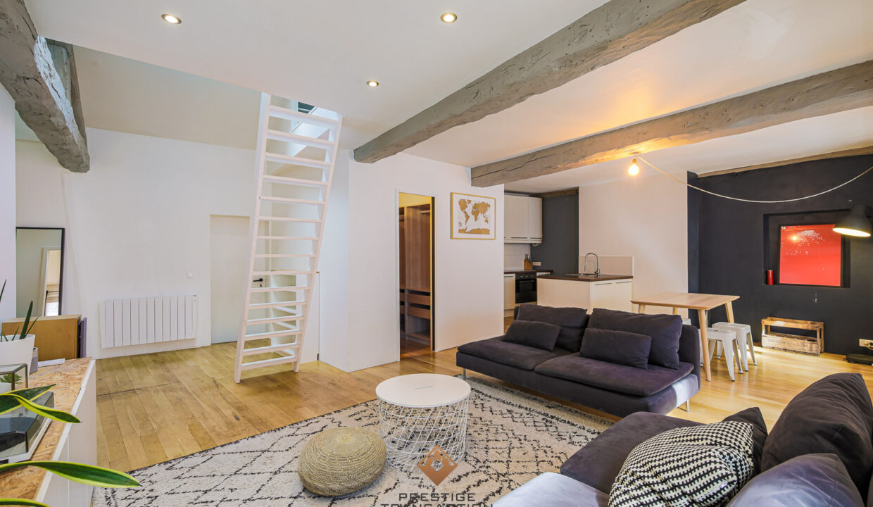 immobilier-grenoble-1