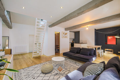 immobilier-grenoble-1