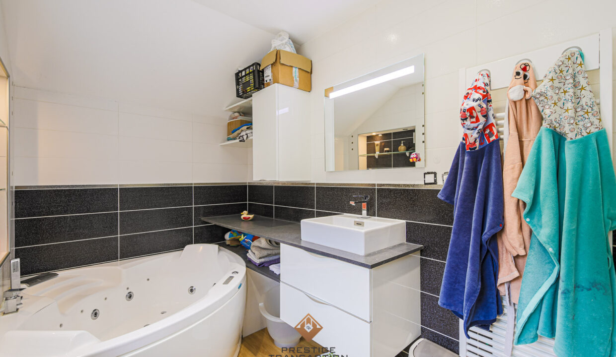 immobilier-grenoble-10