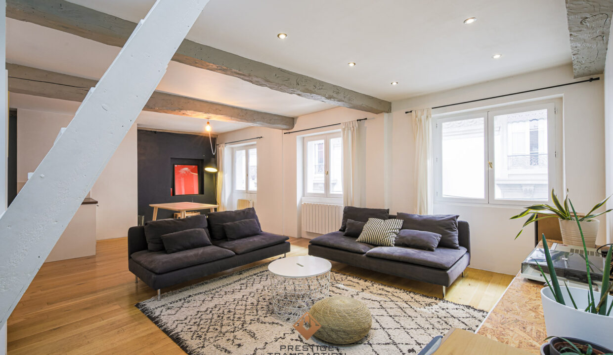 immobilier-grenoble