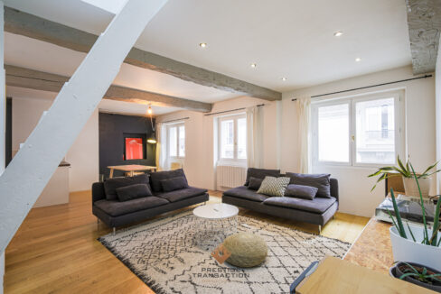 immobilier-grenoble