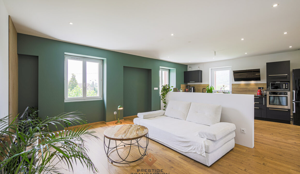 immobilier-grenoble