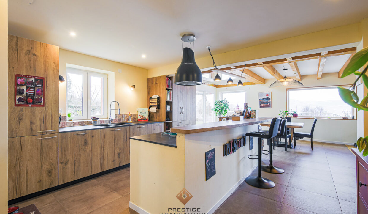 immobilier-grenoble-6