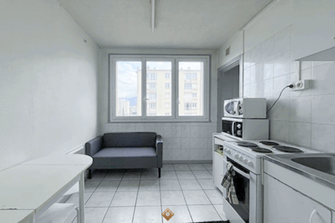 immobilier-grenoble.jpg-1