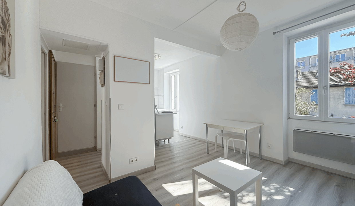 immobilier-grenoble.jpg-1