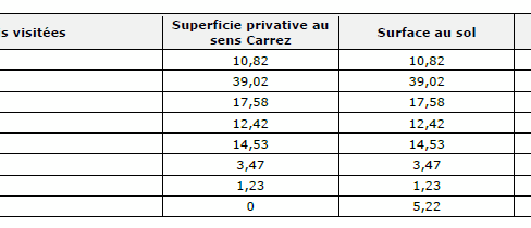 immobilier-grenoble.jpg-11