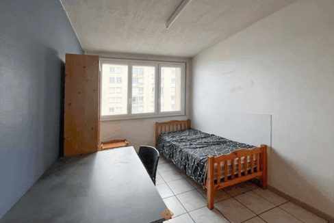 immobilier-grenoble.jpg-2
