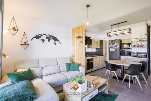 immobilier-grenoble-2