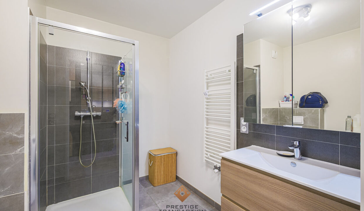 immobilier-grenoble-5