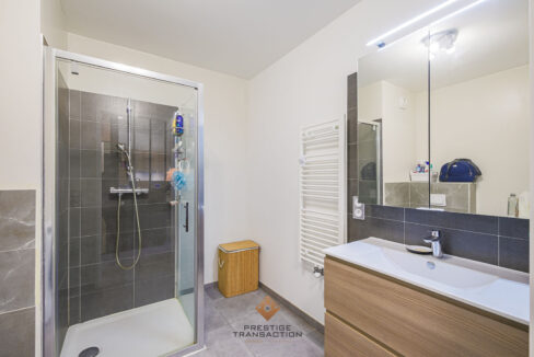 immobilier-grenoble-5