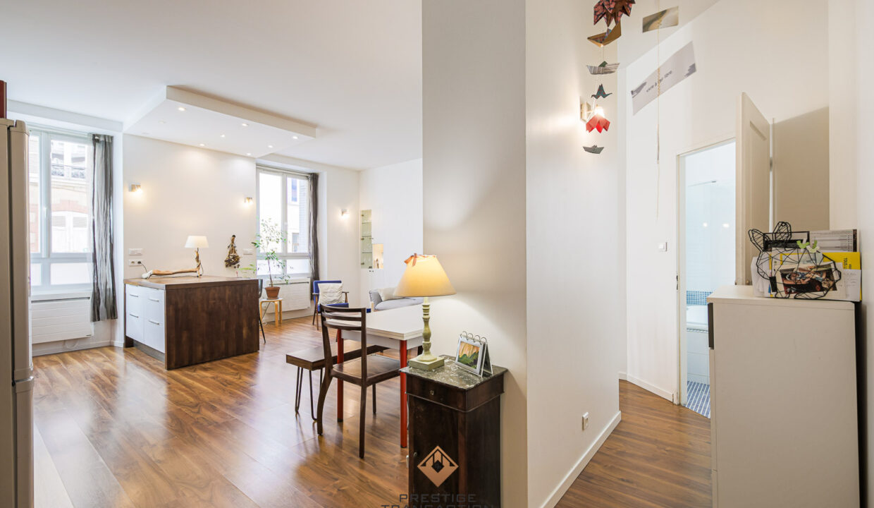 immobilier-grenoble-1