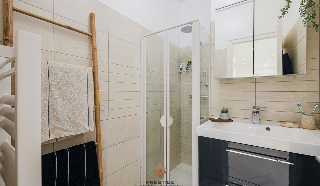 immobilier-grenoble-11