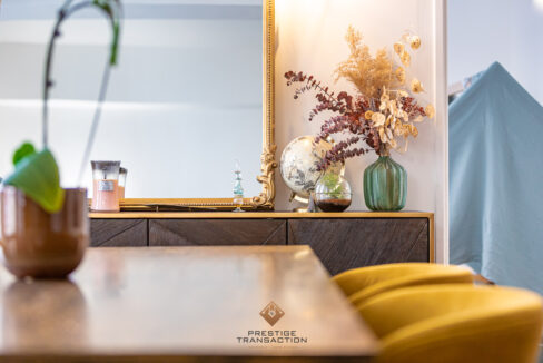immobilier-grenoble-2