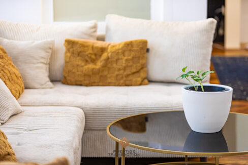 immobilier-grenoble-4