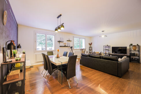 immobilier-grenoble