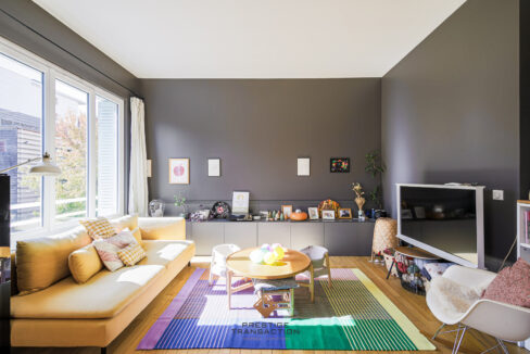 immobilier-grenoble-1