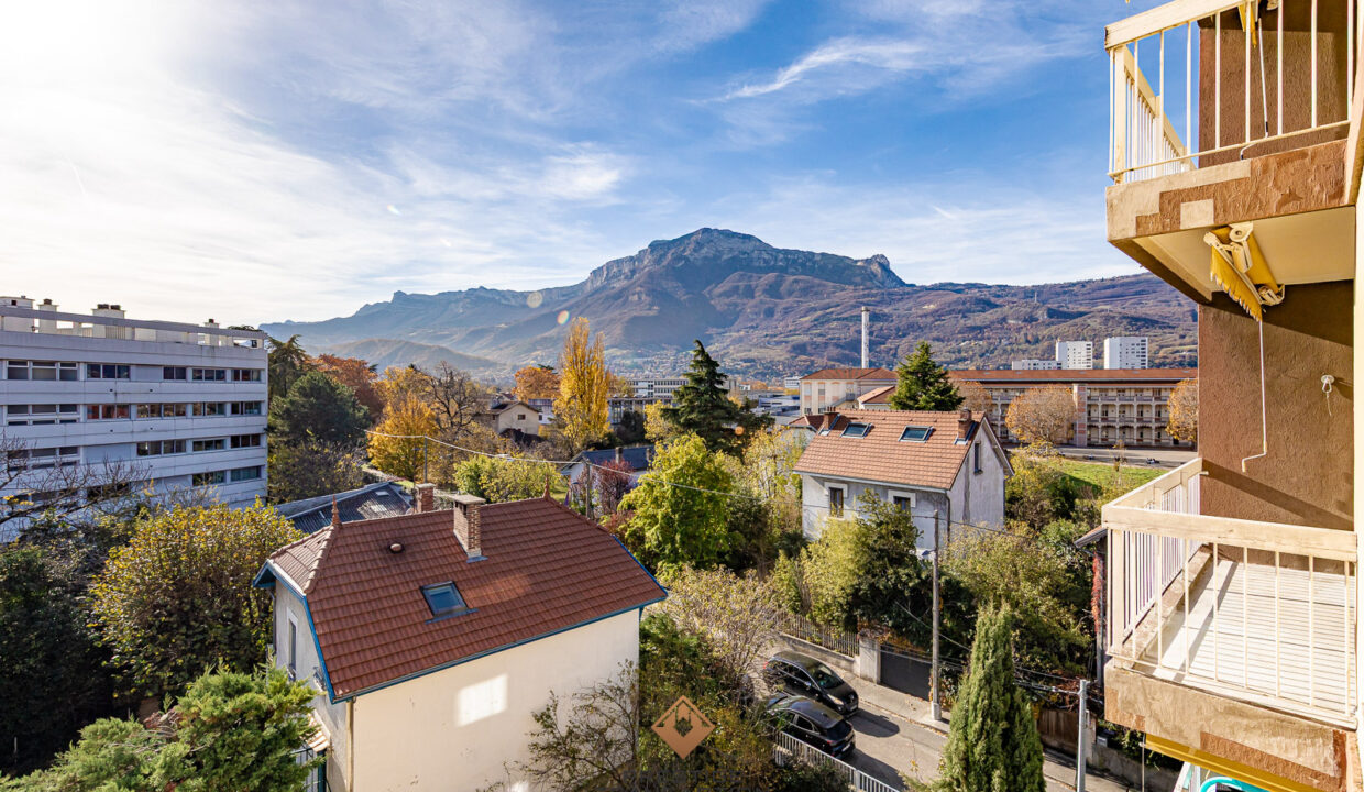 immobilier-grenoble-1