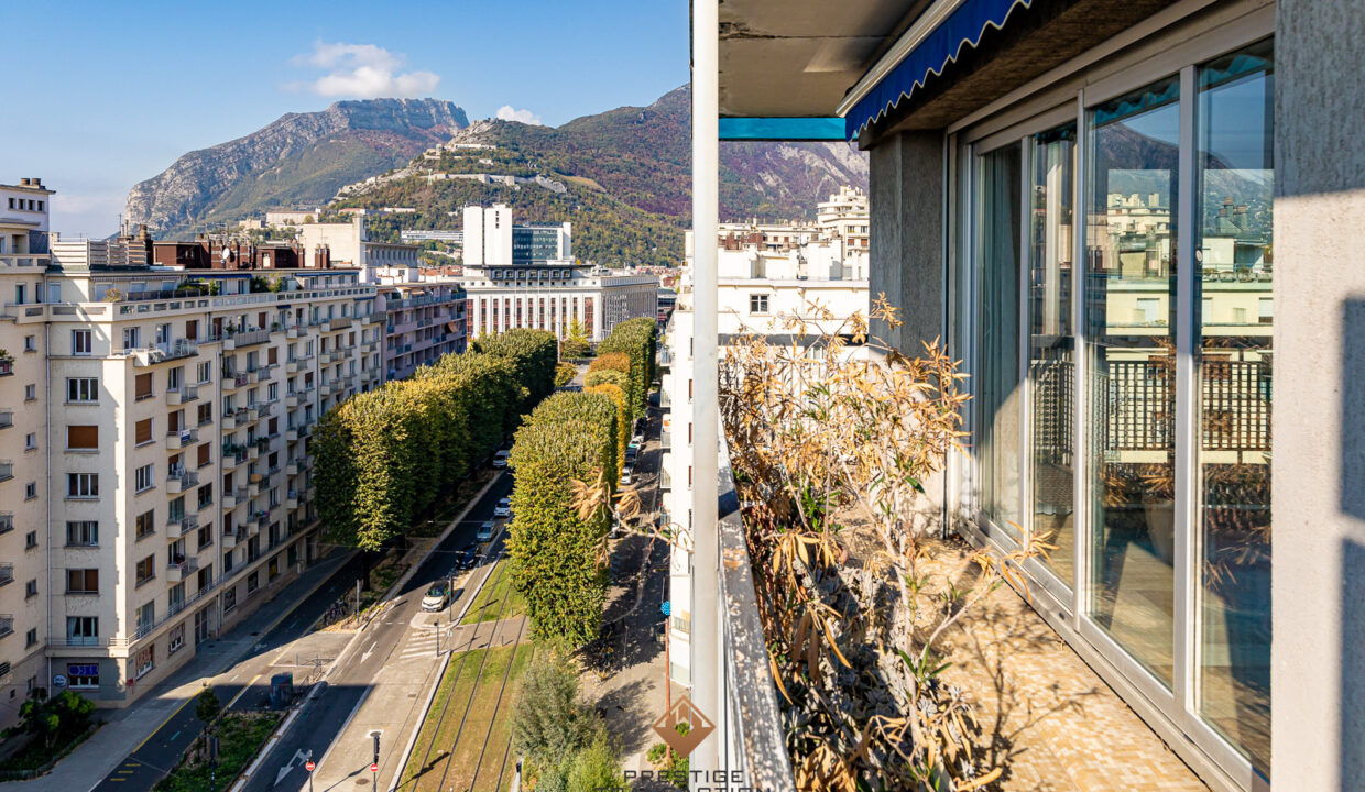 immobilier-grenoble