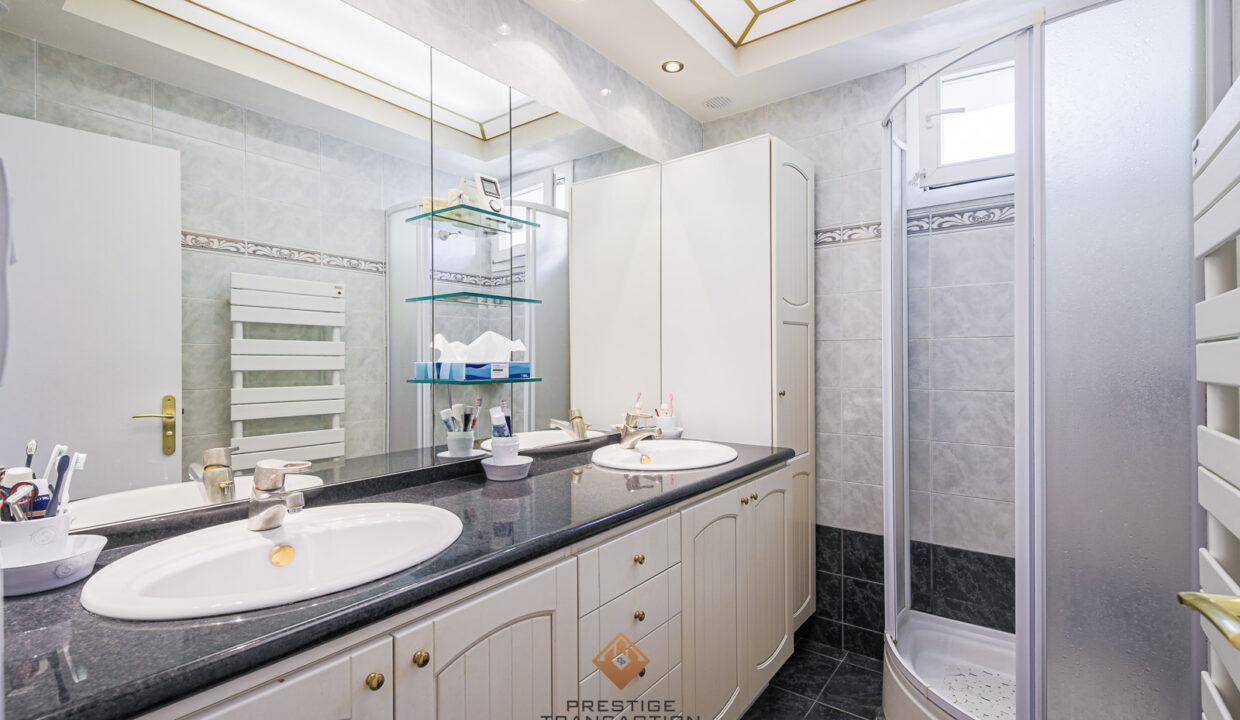 immobilier-grenoble-11