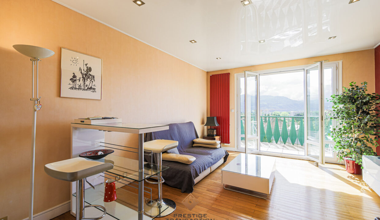 immobilier-grenoble-3