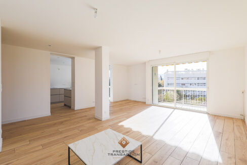 immobilier-grenoble-3