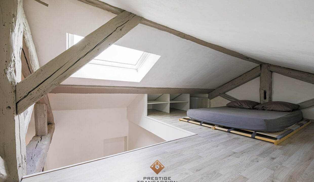immobilier-grenoble-3