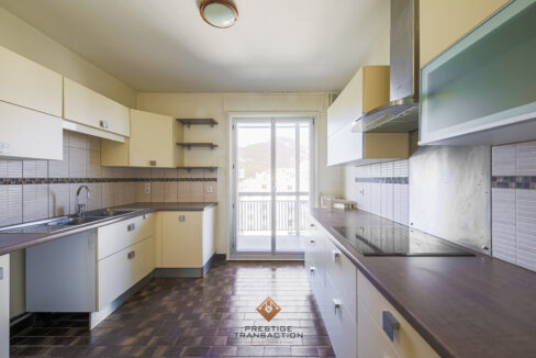 immobilier-grenoble-4