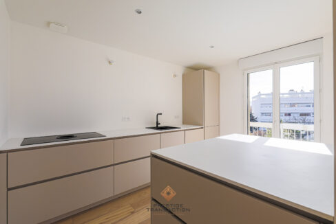 immobilier-grenoble-4