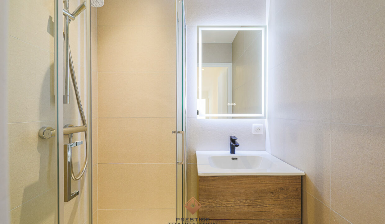 immobilier-grenoble-9